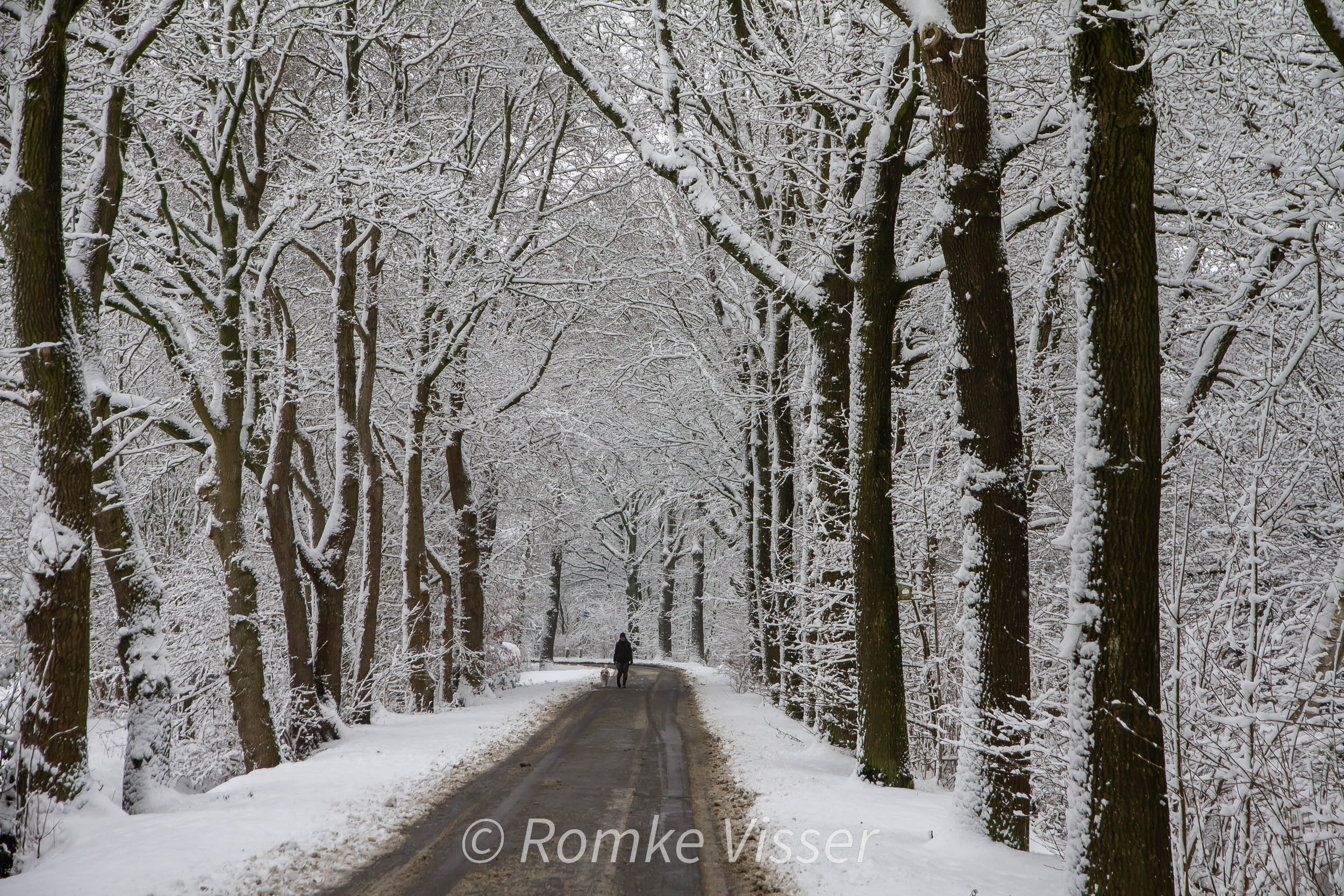 De Skeanewei in winterse sferen